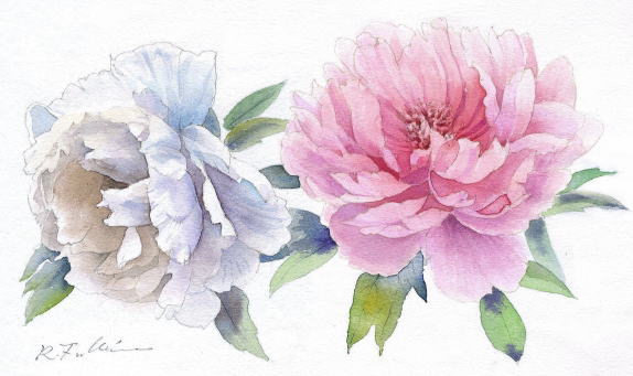 高評価なギフト 水彩画テラス】四季の花 水彩画：季節を代表する花々の水彩画を 絵画